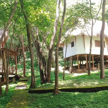 Tuani Ecolodge Тола Экстерьер фото